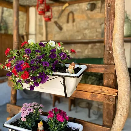 Gli Agrumi * Agropoli